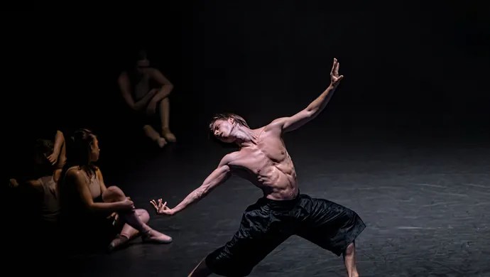 Ukrainian Culture Day in Delft with dance, music, film and tastings (24 September&nbsp;2025)