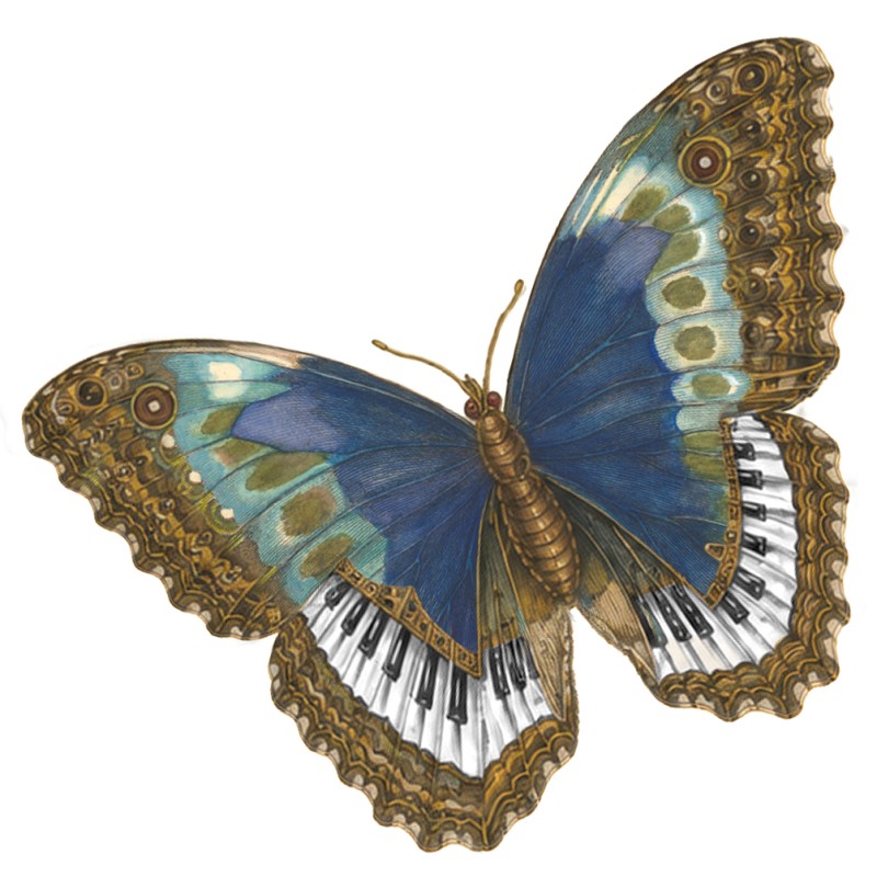 Delft Chamber Music Festival lands at theater DE VESTE with an innovative edition centered on the theme of Butterflies (9-13 September&nbsp;2026)